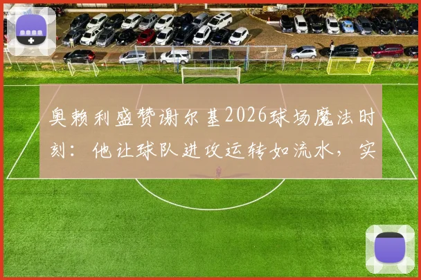 奥赖利盛赞谢尔基2026球场魔法时刻：他让球队进攻运转如流水，实战技巧揭秘